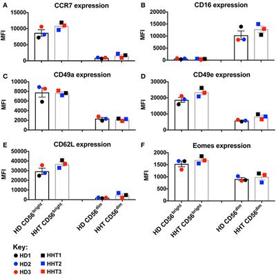 Loss-of-Function in SMAD4 Might Not Be Critical for Human Natural Killer Cell Responsiveness to TGF-β